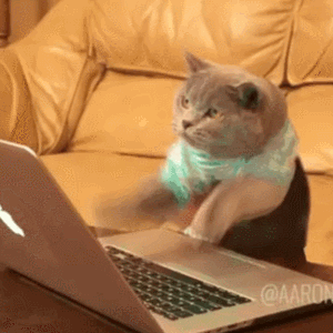 Cat aggressively typing on a laptop